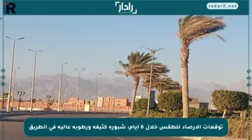 توقعات الأرصاد للطقس خلال 6 أيام: شبورة كثيفة ورطوبة عالية في الطريق